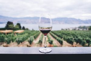 tot ce trebuie sa stim despre vin