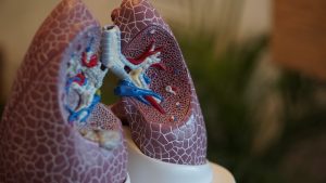 Definitie respiratie