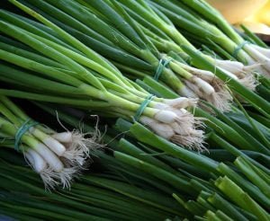 Cate calorii are ceapa verde