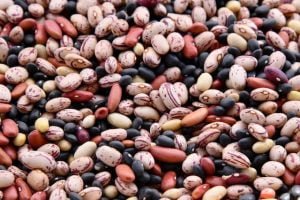 Cate calorii are fasolea