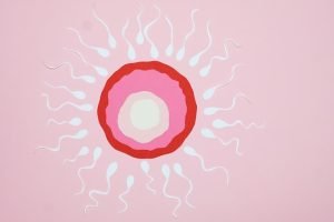 Cate calorii are sperma