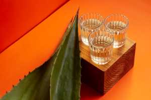 Ce este Siropul de agave