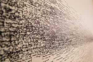 Cum se scrie corect monologuri sau monoloage
