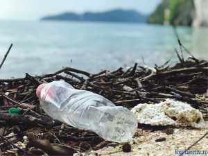 Cât durează descompunerea plasticului dacă nu este reciclat