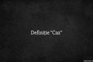 Definiție Caz