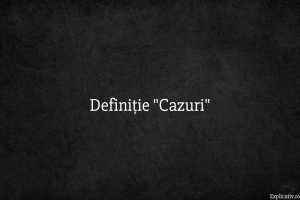 Definiție Cazuri