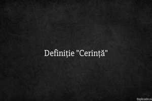 Definiție Cerință