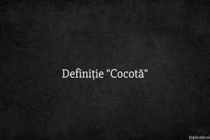 Definiție Cocotă