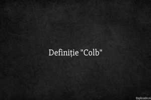 Definiție Colb