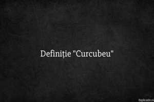 Definiție Curcubeu