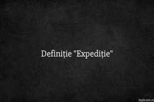 Definiție Expediție