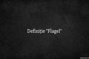 Definiție Flagel