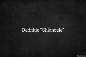 Definiție Ghionoaie