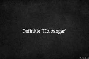 Definiție Holoangar