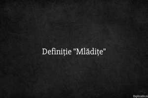 Definiție Mlădițe