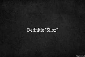Definiție Siloz