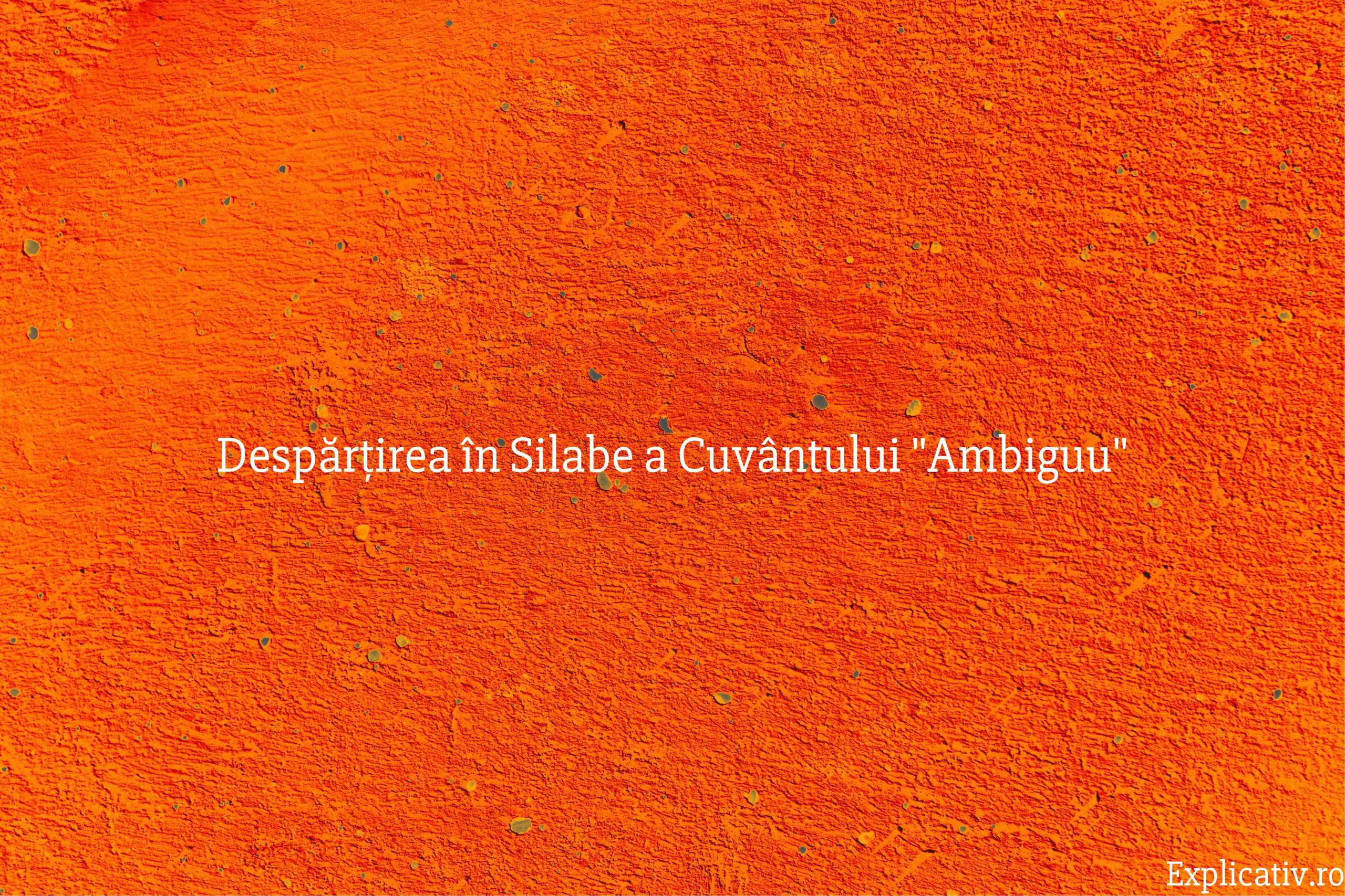 Despărțirea în Silabe a Cuvântului Ambiguu