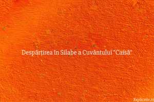 Despărțirea în Silabe a Cuvântului Caisă