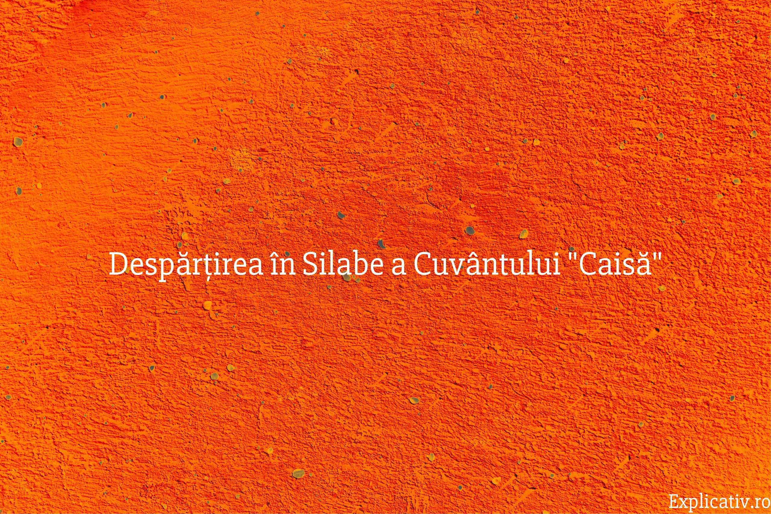 Despărțirea în Silabe a Cuvântului Caisă