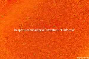 Despărțirea în Silabe a Cuvântului Uniformă