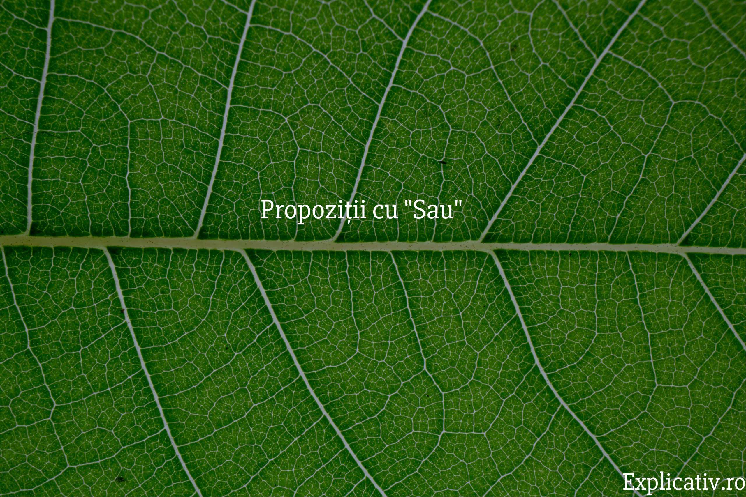 Propoziții cu Sau
