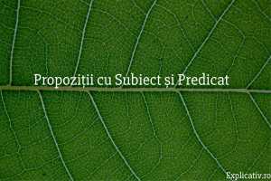 Propoziții cu Subiect și Predicat