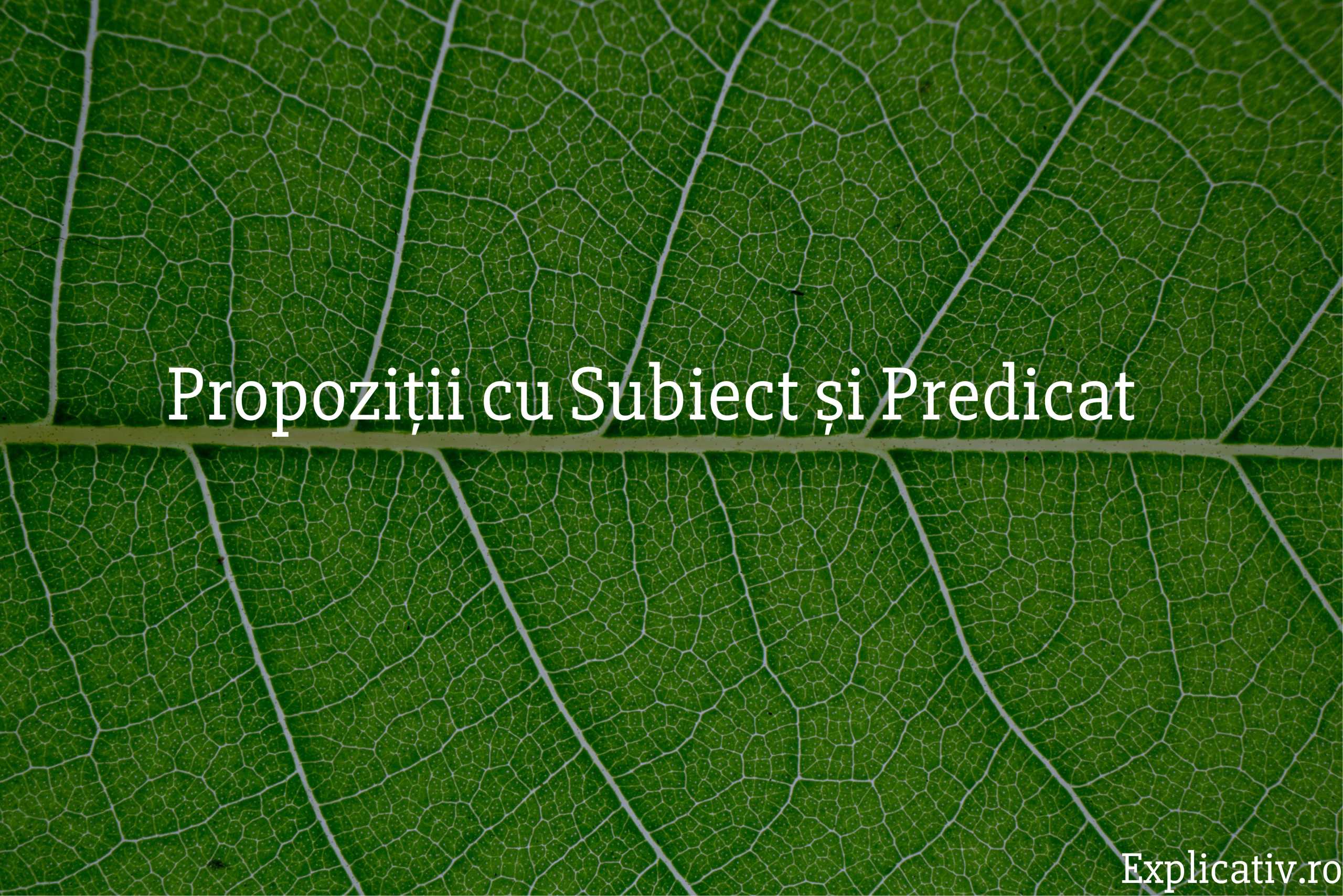 Propoziții cu Subiect și Predicat
