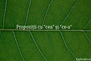 Propoziții cu cea și ce-a
