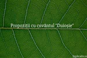 Propoziții cu cuvântul Duioșie