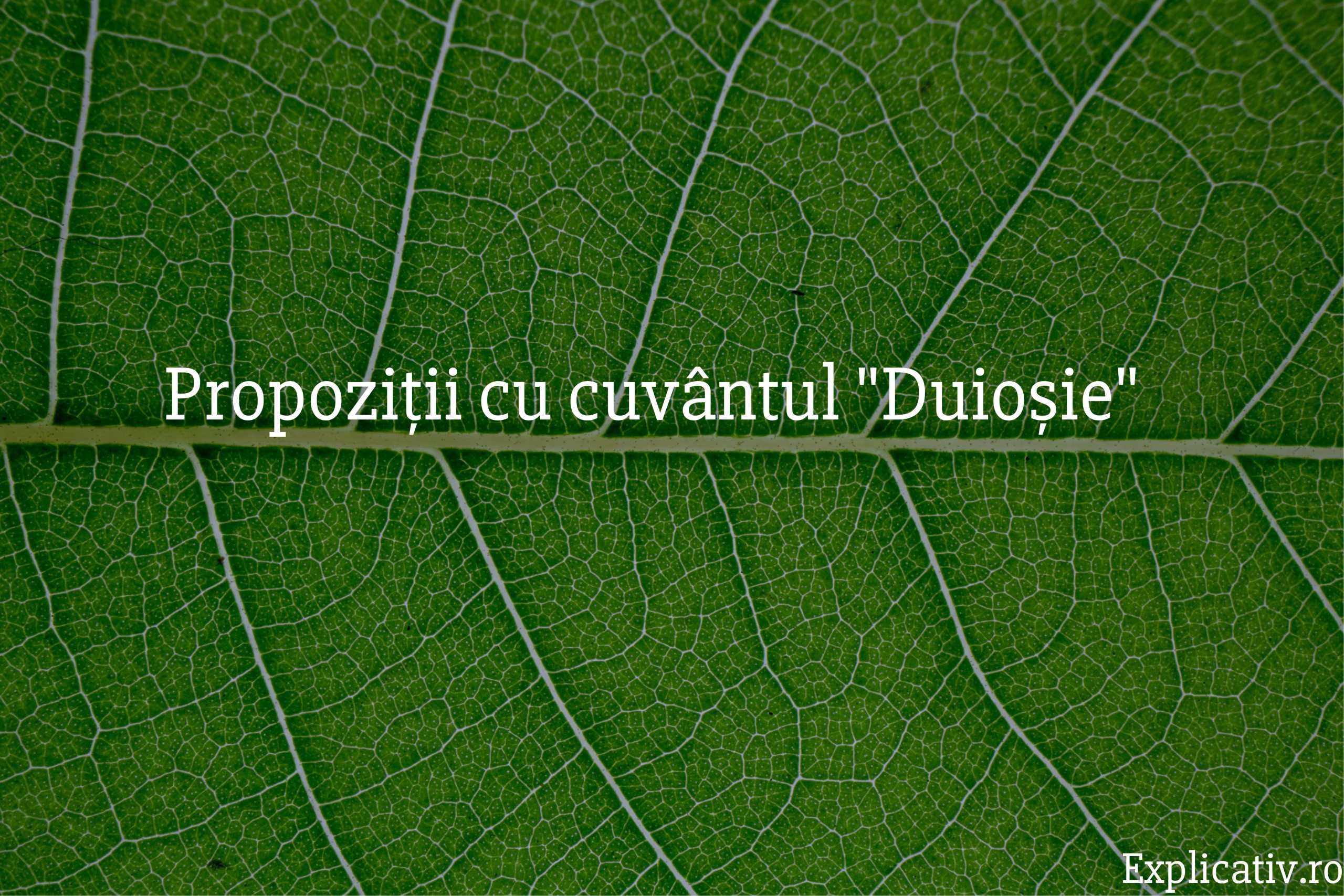 Propoziții cu cuvântul Duioșie