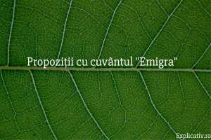 Propoziții cu cuvântul Emigra
