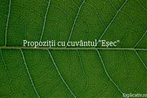 Propoziții cu cuvântul Eșec
