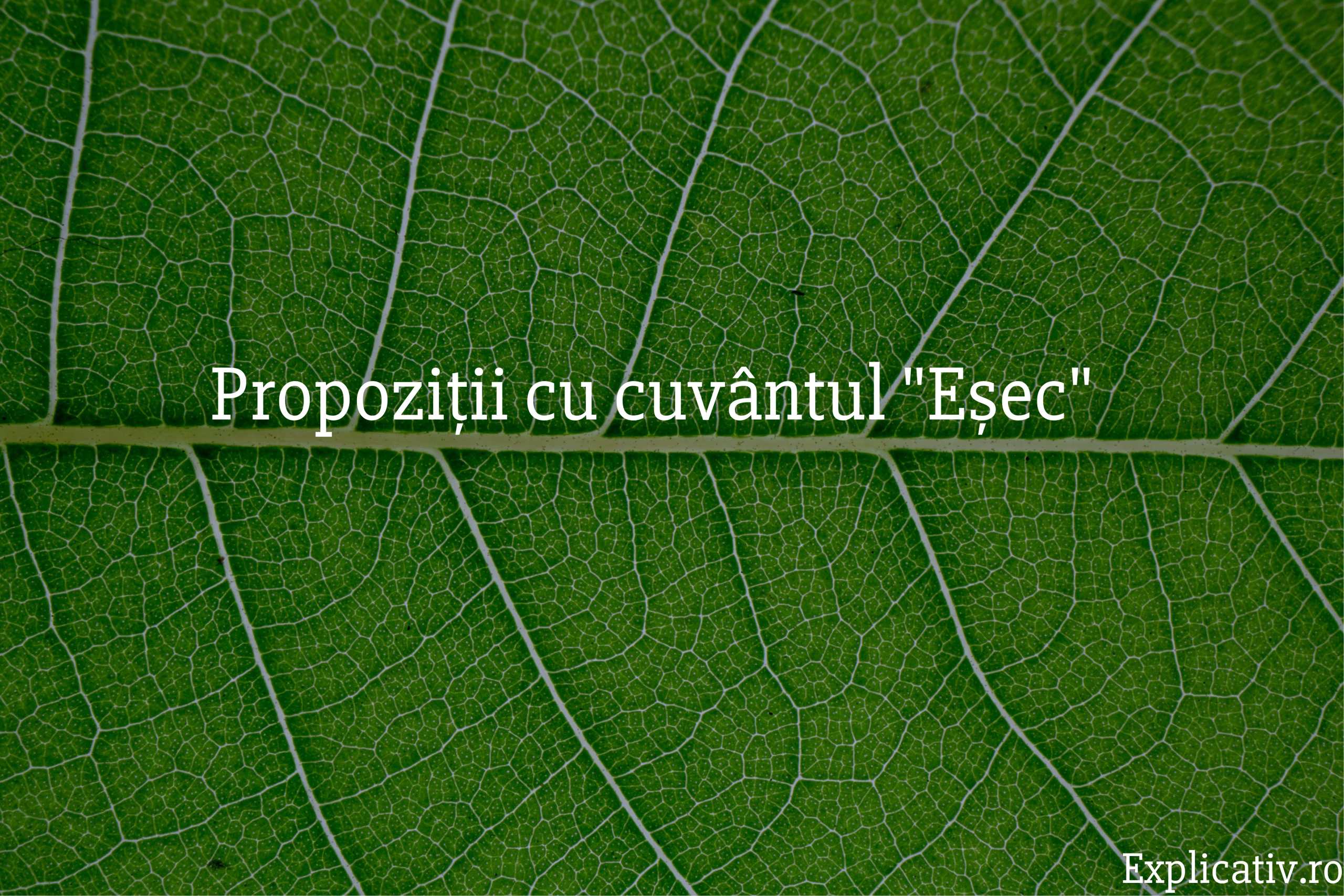 Propoziții cu cuvântul Eșec