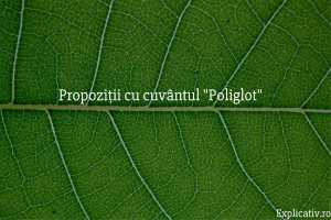 Propoziții cu cuvântul Poliglot