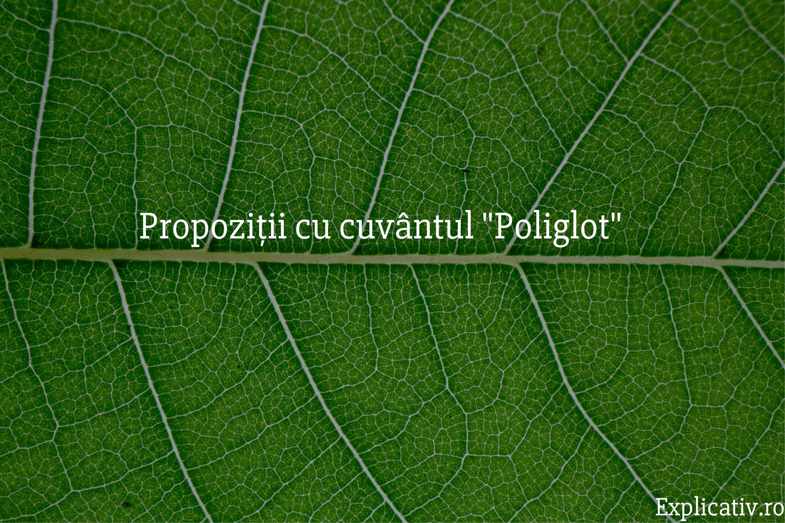 Propoziții cu cuvântul Poliglot