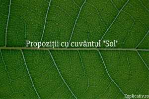 Propoziții cu cuvântul Sol