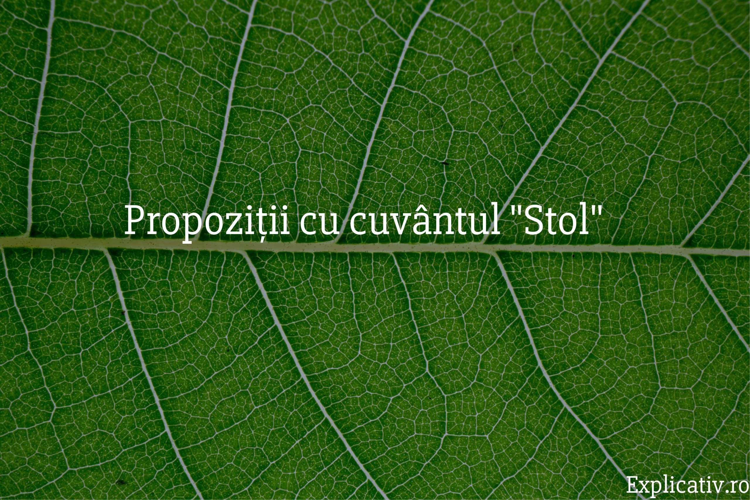 Propoziții cu cuvântul Stol