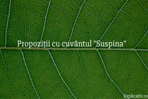 Propoziții cu cuvântul Suspina