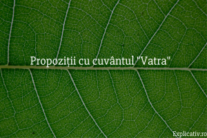 Propoziții cu cuvântul Vatra