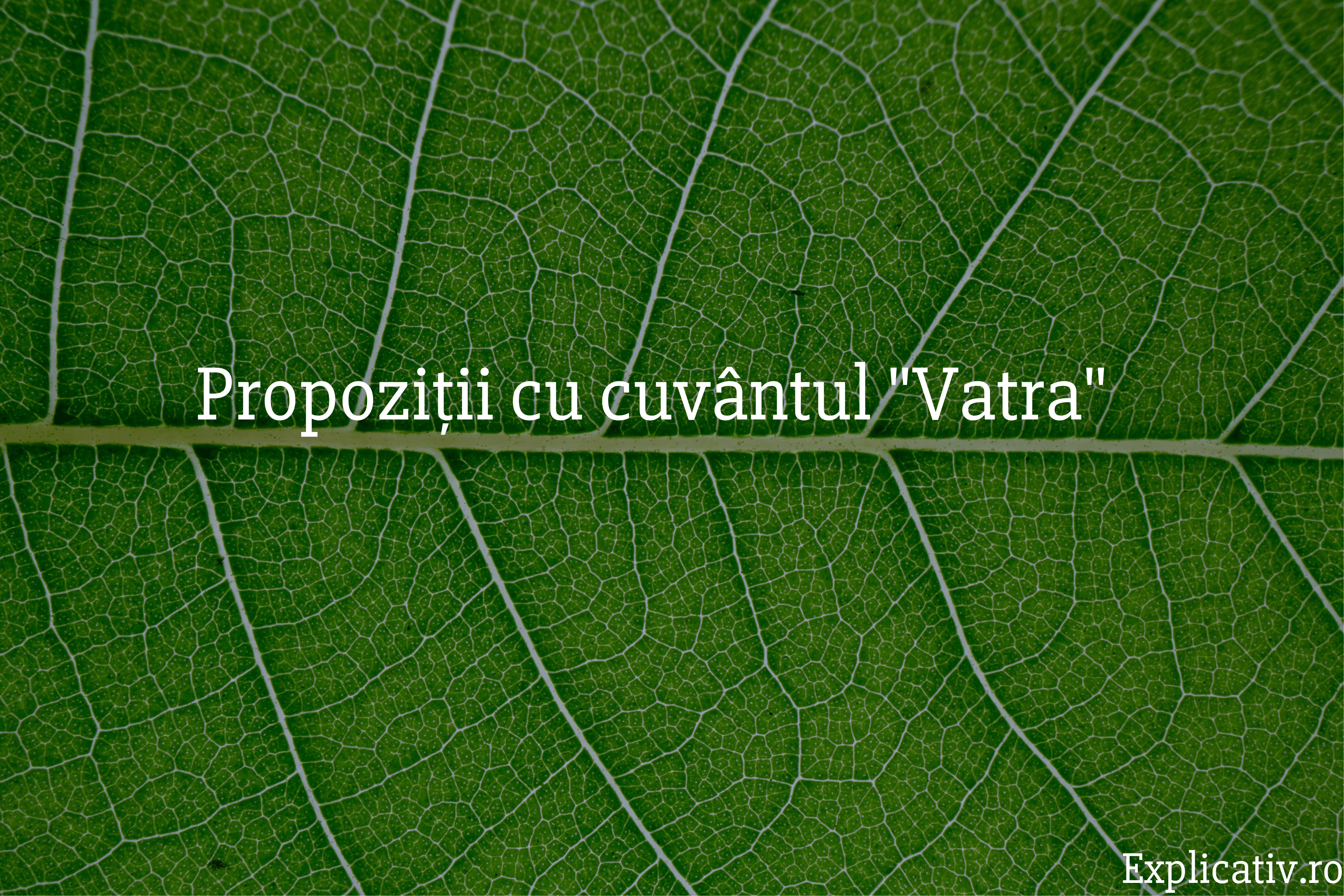 Propoziții cu cuvântul Vatra