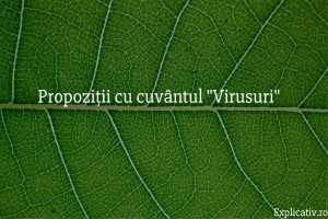 Propoziții cu cuvântul Virusuri