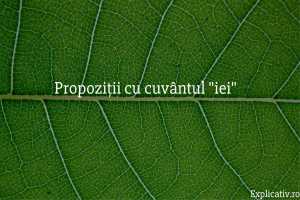 Propoziții cu cuvântul iei
