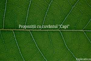 Propoziții cu învățătură