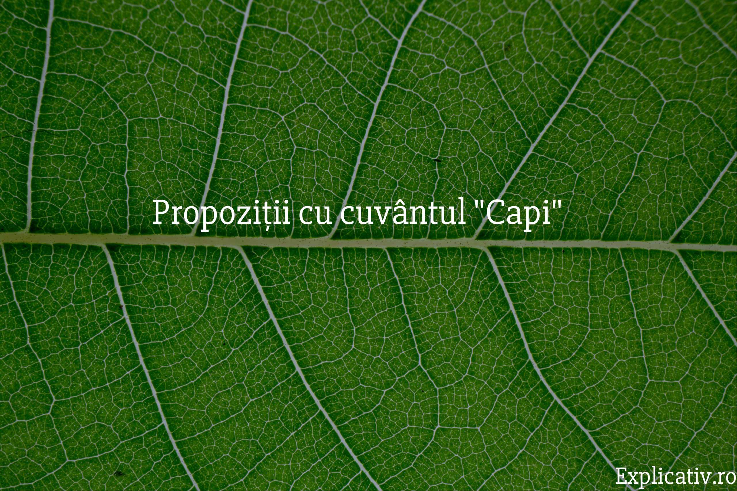 Propoziții cu învățătură