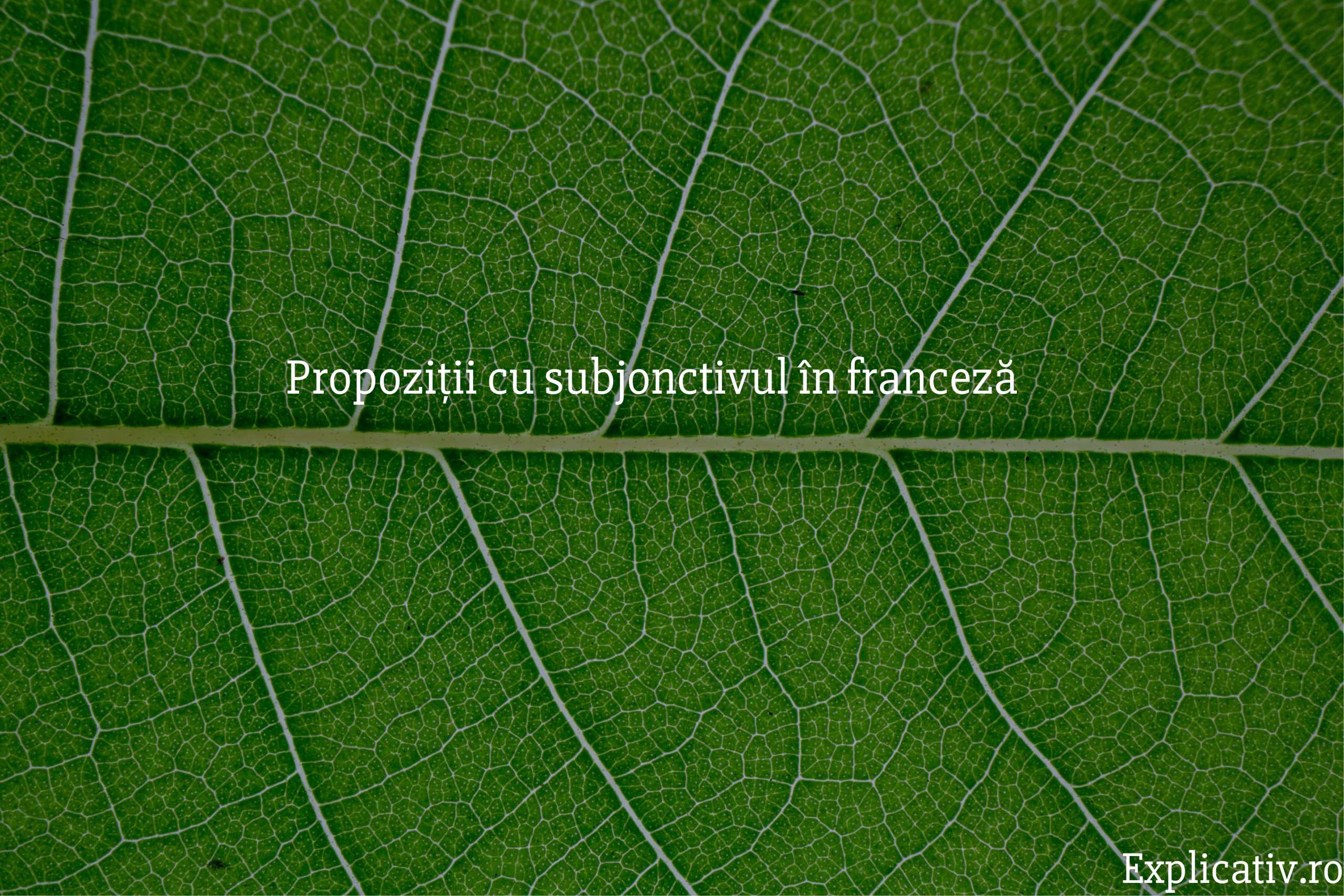 Propoziții cu subjonctivul în franceză