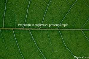 Propoziții în engleză cu present simple