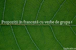 Propoziții în franceză cu verbe de grupa 1