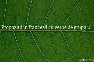 Propoziții în franceză cu verbe de grupa 2
