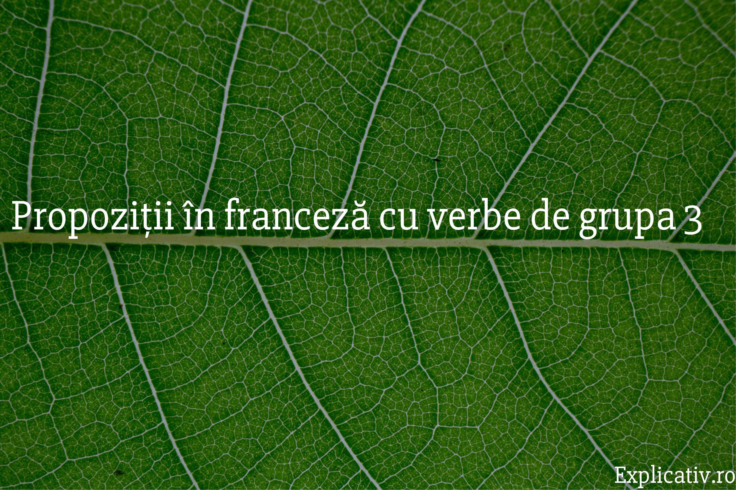 Propoziții în franceză cu verbe de grupa 3