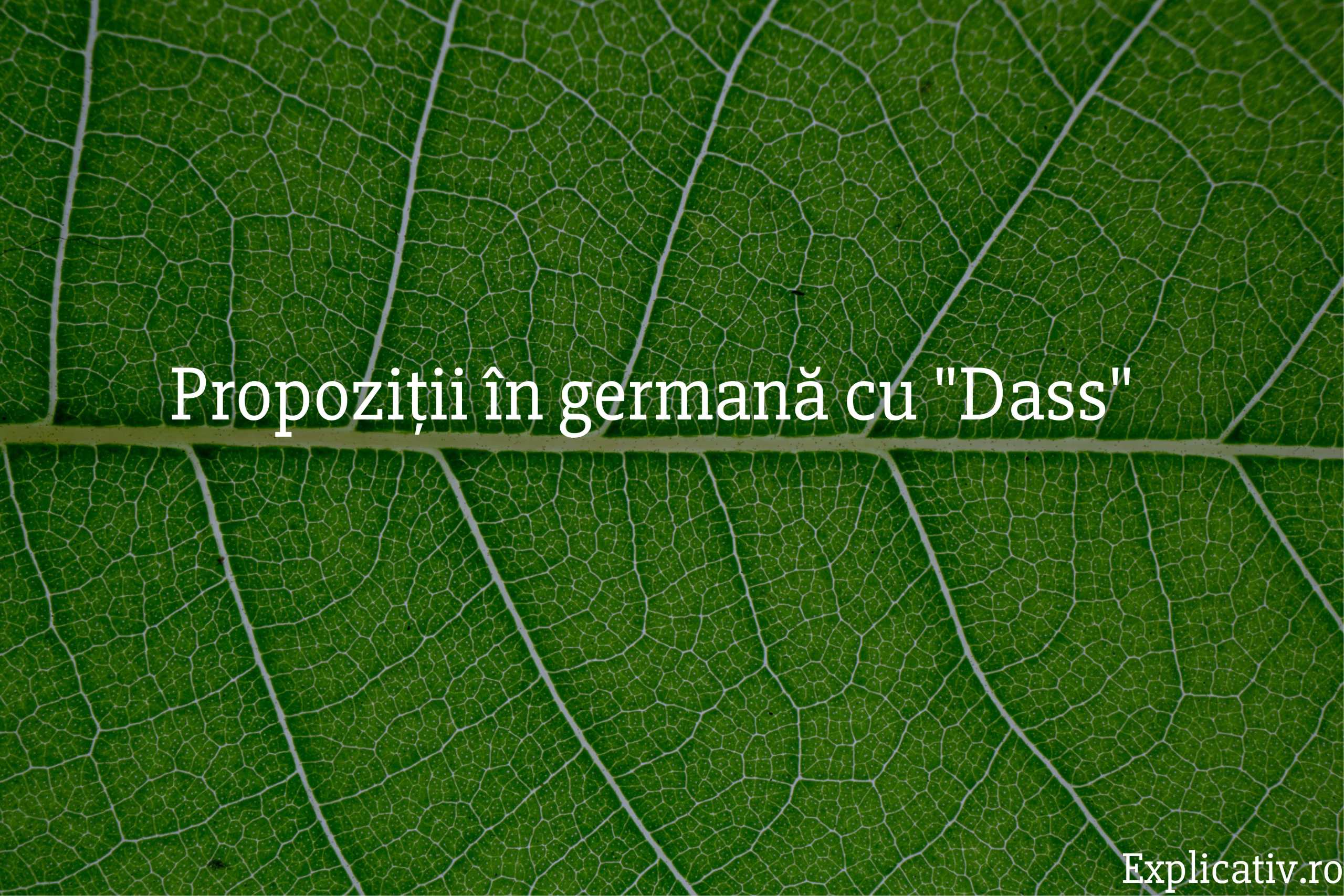 Propoziții în germană cu Dass